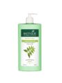 Biotique Fresh Neem Anti Dandruff Shampoo and Conditioner | 650 ml