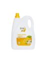 Moon & Mount Dishwash Liquid Gel | 5 l