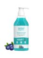 Aravi Organic Salicylic Acid Exfoliating Body Wash | 300 ml