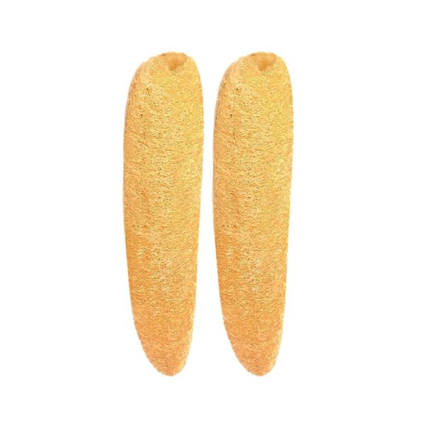 Dilsay Herbz – 100% Natural Organic Loofah for Bathing Exfoliating (Pack of 2)