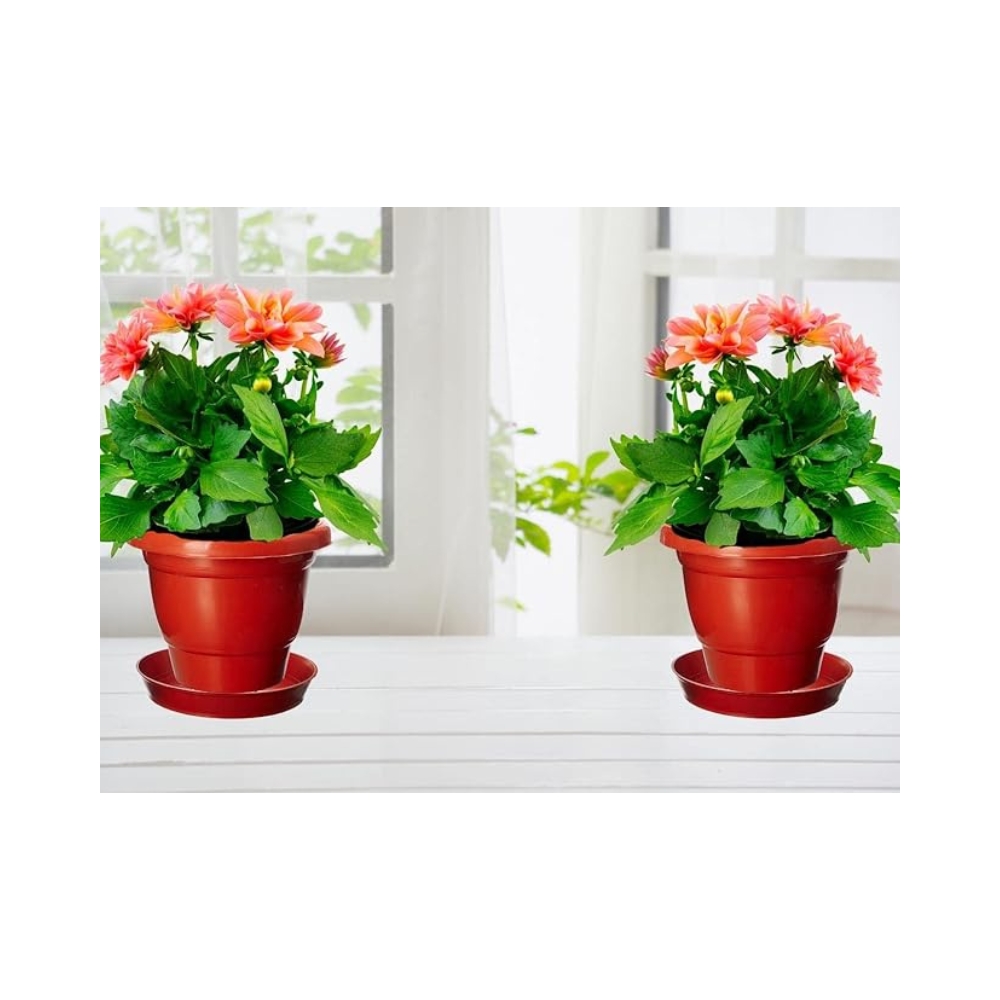 Go Hooked Plastic Gamla/Planter/Pot with Bottom Plate/Tray, 8 inch | Plant Container Set | Indoor/Outdoor Balcony Flower Pot | Drip Trays Planter | Plastic Pots with Saucers | 12 Pcs | 900 g