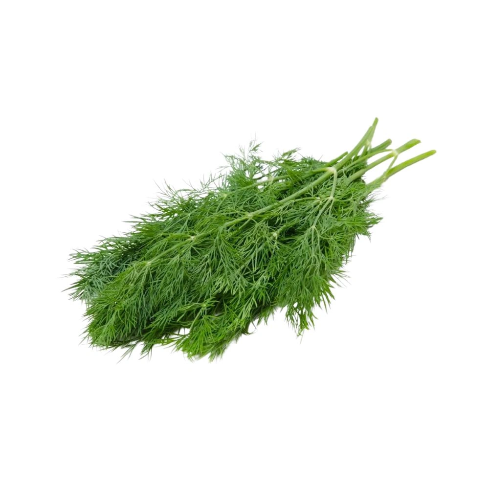 Dill leaves | 1 Bunch