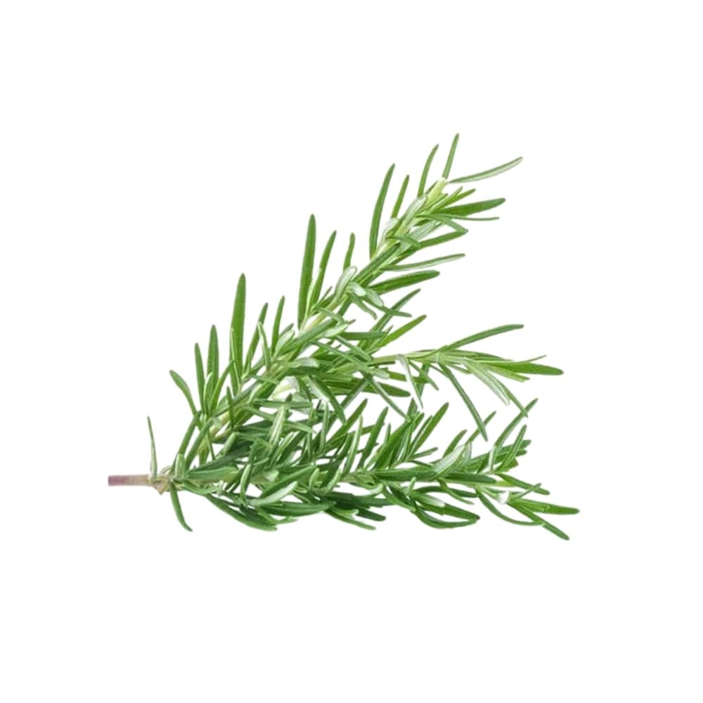 Fresh rosemary | 30 G