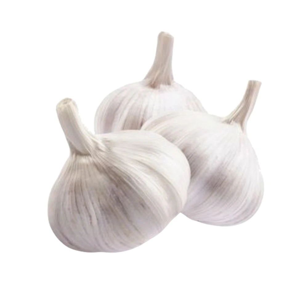 Garlic 1 Kg
