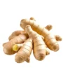 Ginger