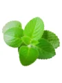 Karpooravalli leaves_ Ajwain leaves 50 g
