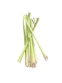 Lemongrass Stalks ( 100 gms to 125 gms bunch )