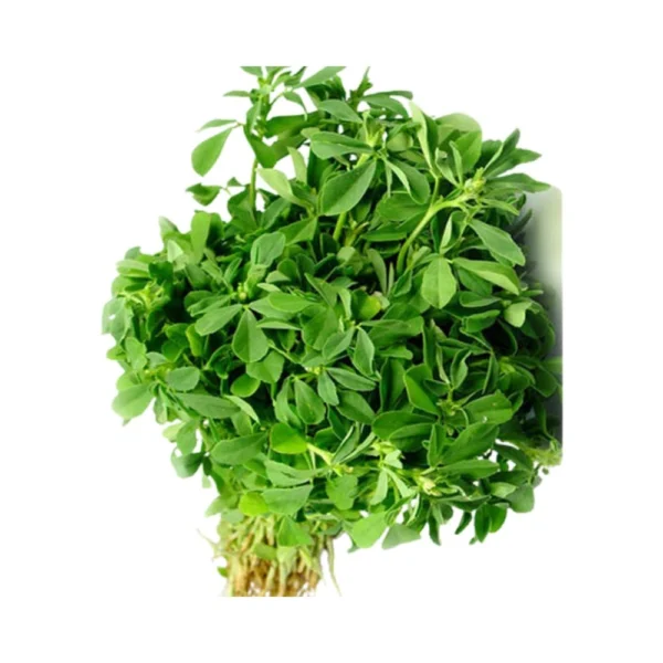 Methi leaf