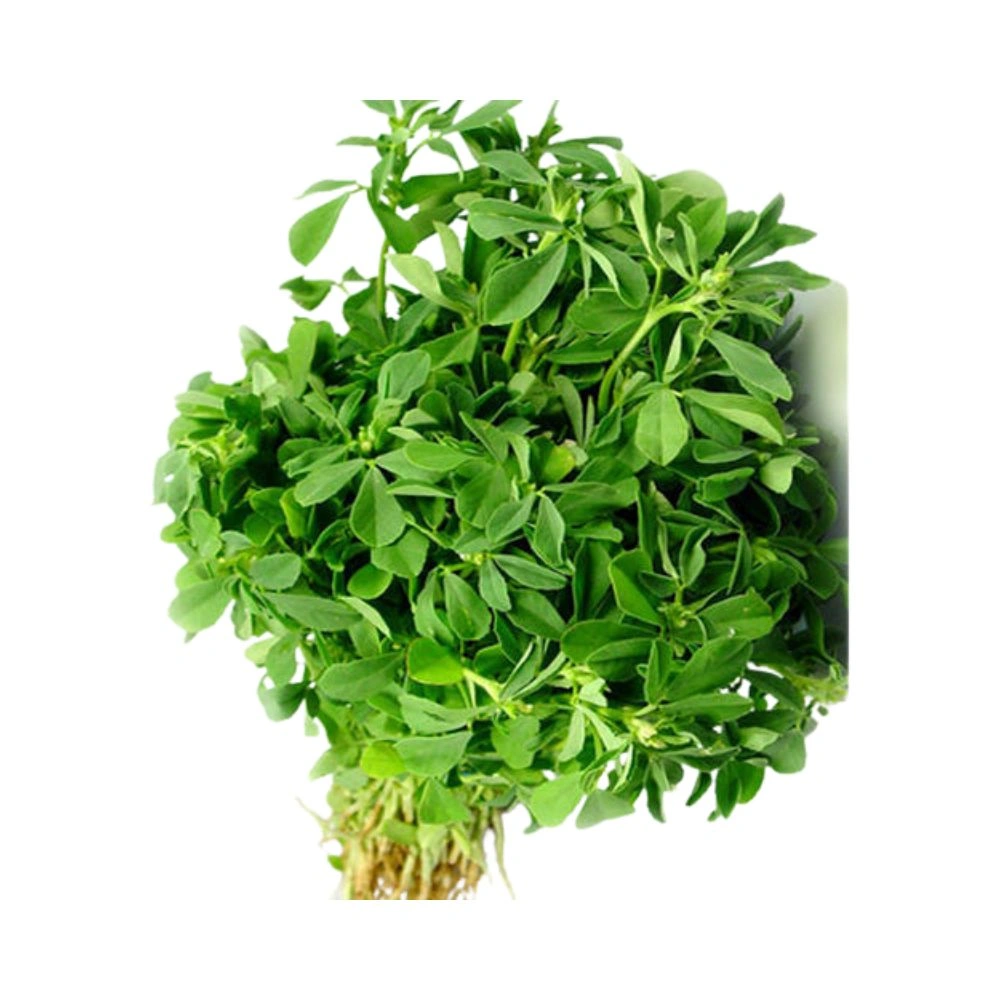 Methi Leaf | 1 bunch