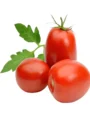 Tomato Bangalore